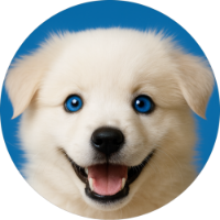 Viral Dog