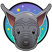 ThaiRidgeBack