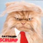 CatTrump