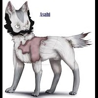 Asahi Token