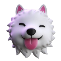 White Doge