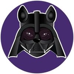 DARTH INU
