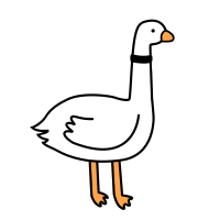 Coinbird