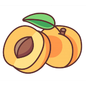 Apricot Kernel