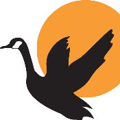 Goose Token