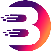 BitVision