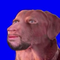 dog wif eyes cwosed
