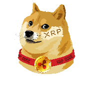 XrpDoge