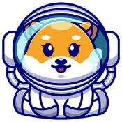 BabySpaceFloki