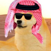SHEIKHDOGE