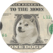 One Doge Dollar