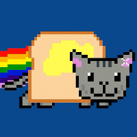 Toast Cat