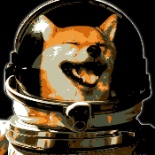 Spacedoge