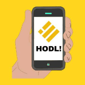 HoldBUSD