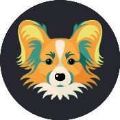 Chinese Crestd Dog