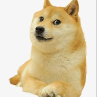 World Record Dog