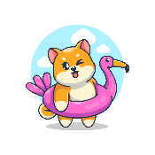 Summer Shiba