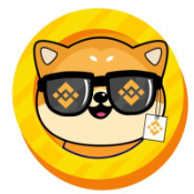 BNBdogy