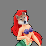 DIsneyPrincessInu