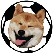 ShibaFootball