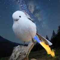Flame'n Anus
