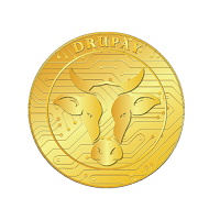 DruPay Coin