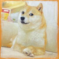 KABOSU