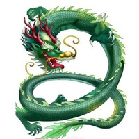LUNG