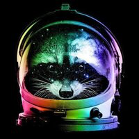 SpaceRaccoon