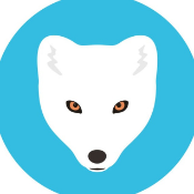 Arctic Fox