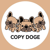 COPYDOGE