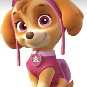 MxDoge