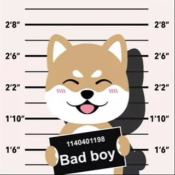 Bad Shiba
