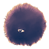 Just an eye