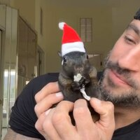 PNUTMAS