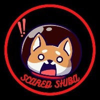 scared shiba