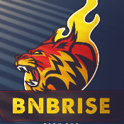 BNBRISE