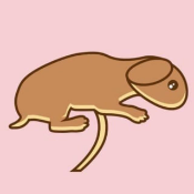 EmbryoCake