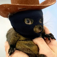 SKI MASK PEANUT