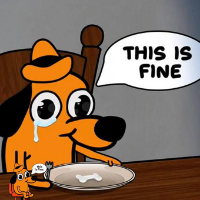 Fine