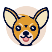 Dingo Retirement Coin