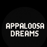 Appaloosa Dreams