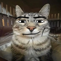 THE CAT