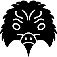 SOLYHAWK