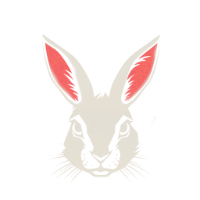 CashBunny