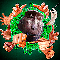 Monkey pox