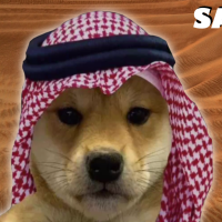 SaudiDoge