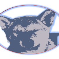ElonShiba