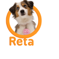 Reta Dog
