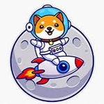 Baby Shib Moon